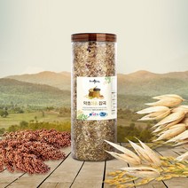 당뇨에 좋은 혼합 잡곡 농진청 기능성 저당쌀 820g, 단품