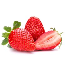 2022년수확 설향딸기 생딸기 상품 특품 1kg 2kg, 설향딸기 특품 2kg