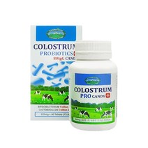 네이쳐스탑 콜로스트럼 초유 프로바이오틱스 캔디 90정