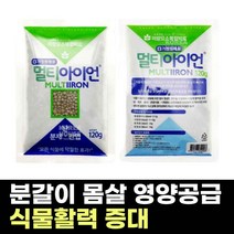 화초 다육이 식물 난초 관엽식물 영양제 알비료 알갱이 미량 요소 원소 고형복합 고체 비료