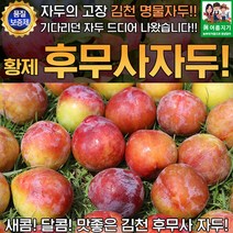 김천 황제자두 후무사 2.5kg 특과 개당 100g 이상, 상세페이지 참조, 상세페이지 참조, 상세페이지 참조, 상세페이지 참조