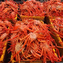 국내 심해 홍게 8미 중자 3kg (자숙 수율 85% 이상), 단품