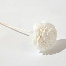 플로피움 디퓨저 스틱 섬유스틱 우드스틱 몬스테라, 국화, 1개
