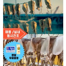 동해 구룡포 반건조오징어 5미 피데기 해풍 실내건조, 중자 5미(550g)