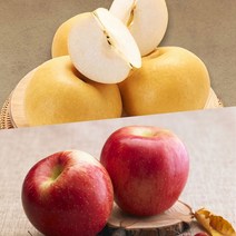 사과배혼합세트 15kg 나주배 5kg + 함양꿀부사 10kg, 없음