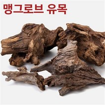 맹그로브 유목 (1kg)/수족관 자연유목/나무/네추럴