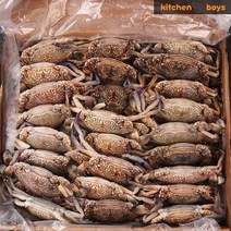 튀니지 알베기 암꽃게 100/150 6kg 블루크랩 키친보이즈, 1박스