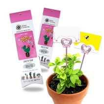 화분월드 끈끈이주걱(킬) 해충박멸 식물해충퇴치 식물보호