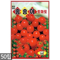 서리태 씨앗 30g - 콩 씨 청약콩 검은콩 쥐눈이콩 서리태씨앗 콩 검정콩씨앗 검은콩씨앗 콩씨앗 서리태씨 검은콩씨 주말농장 텃밭, 09_송송이방울토마토(50립)