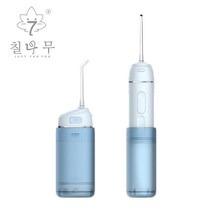 칠나무휴대용 치아 청소 물치실 가정용 스케일링기, 블루