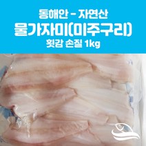 추천 여수고흥삼치회600g 인기순위 TOP100