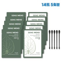 [코피지 박멸템] 센시멘드 어성초 코팩 피지관리 모공관리 블랙헤드 피지 세트 SENSIMEND, 코팩 1세트