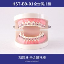 치아모형 인체모형도 치과기구 실리콘몰드 인체모형 양치교구 재료상, 모든 금속 브래킷 B9-01(28개 치아)
