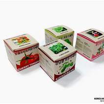 방울토마토 키우기