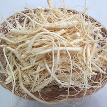 (세척)뿌리삼 (미삼)1채