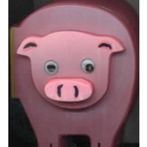 Pig, Barrons Juveniles