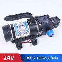 DC 12V 24V 100W 130PSI 10L 최소 물 고압 다이어프램 펌프 정원, 협력사, 1-압력 스위치 유형