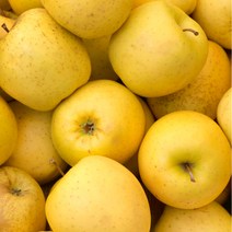 시나노 골드 사과 황금사과 노란사과 2kg 3kg 5kg, 1박스, 쥬스용(저가형)카페사장님추천 / 6kg