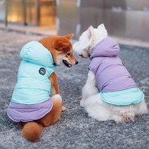 강아지패딩 패딩 조끼 겨울옷 후드 다운 점퍼, 블루