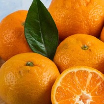 영화청과 특급 귤 타이벡 제주 블로초 효돈 1kg, 1개, 해당 상품 선택하기