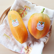 파파야 1호박스 (1~2과/1kg), 90%익음, 1개, 1kg