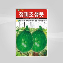 슬로시 슬로시 열매 씨앗 고추 토마토 콩 씨 종자, 청피조생풋20립(아람)