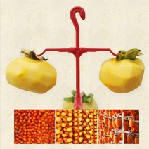 L곶감걸이 꼭지핀20P 곶감만들기 수제곶감 DIY곶감 감건조기 과일말리기 감말리기 과일, E꼭지핀 20P