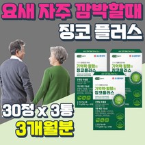 플라보노이드 징코빌로바 은행잎추출물 징코 라이드 플러스 50대 60대 70대 성인 항산화 두뇌 뇌 혈관 건강 식품 고시생 기억력 집중력 좋아지는법 GINKGO 수능 선물 청소년