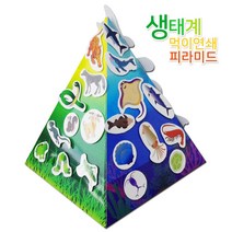 생태계 먹이연쇄 피라미드 만들기(5인) RTS