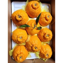 설날선물세트 한라봉 써니트 중대과 3kg 5kg 선물박스부직포, 써니트 중대과 5kg (10~17과)