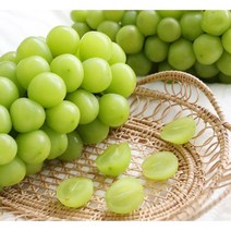 달콤탱글 하우스샤인 머스캣 망고포도 가정용 랜덤 2kg 5~6송이(송이작음.알작음) 안전포장(재활용박스사용), [가정용] 2kg 5~6송이