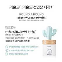 (정품)라운드어라운드 선인장 디퓨저만세선인장 100mL+마스크팩증정