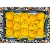 제주 감귤 황금향 제철 하우스 가정용 선물세트, 황금향 선물용 3kg 5-15과 (부직포포장), 1개, 명품 추석 선물세트