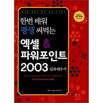 한번 배워 평생 써먹는 엑셀 & 파워포인트 2003 쉽게 배우기:몸값을 올리는 업무 향상 프로젝트, 이비컴