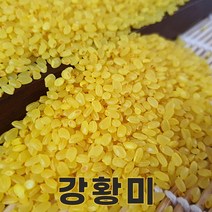 밥보야 22년산 강황미 강황쌀 강황밥 2kg 기능성쌀, 1개