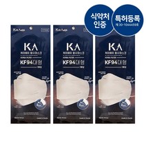 [덴탈화이트] 4중필터 개별포장 덴탈 KF94 마스크 10매, KF94덴탈마스크10매