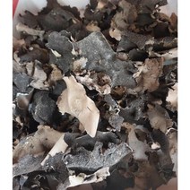 자연산석이버섯 ( 100g ) - 제천약초영농조합, 1개