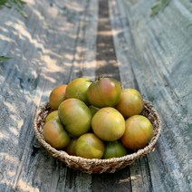 고당도 대저짭짤이토마토 부산 대저토마토, 짭짤이 토마토 2.5kg(S/소과/A등급)