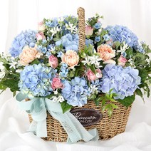 전국당일도착 카네이션 꽃바구니 생화 화분 꽃다발 선물 어버이날 스승의날 당일 꽃배달 서비스 (99플라워), 30.[A1945]-파란수국