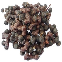 지리산한방식품 헛개열매 (지리산 특품 300g)/동의보감촌 지리산약초 전문, 1봉, 300g