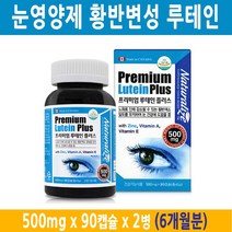 NHI.Inc 노안 황반변성 루테인 눈에좋은 영양제 눈이침침 마리골드꽃 비타민A 비타민E 아연, 2병