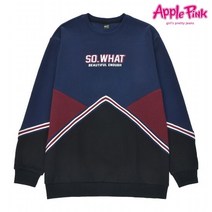 [애플핑크] 삼각절개 테이핑 맨투맨 (APK8O769GSU)