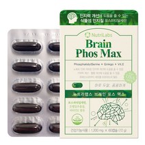 은행잎추출물 식물성인지질 포스파티딜세린 비타민E 3개월 180캡슐 뉴트리랩스 브레인포스맥스
