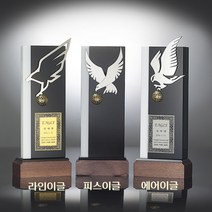 골프트로피/IN-330-8/이글패/싱글패/홀인원패