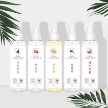 실내탈취제 악취제거제 탄냄새제거 공기섬유250ml 5종 _ 2023789EA, 한라봉