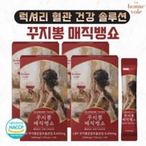 꾸지뽕 매직뱅쇼 항암 약초차 효능 항산화 혈관건강 꾸지뽕차 꾸지뽕 분말, 4개