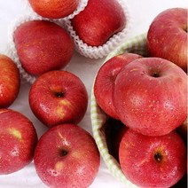 이슬마루 [산지직송] 경북의성 사과 3kg(14~16과), 단품없음