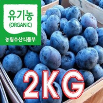 유기농인증 블루베리 냉동 대과 당일수확 농장직송, 1개, 2kg