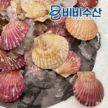 경희직배) 국내산 활 홍가리비 1kg