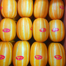 ( 산지직송 ) 성주 참외 꿀 참외 가정용 고당도 특품 최상품, 가정용로열과 1kg (3~5개)